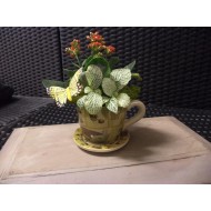 Plant Arrangement in a Cup and saucer